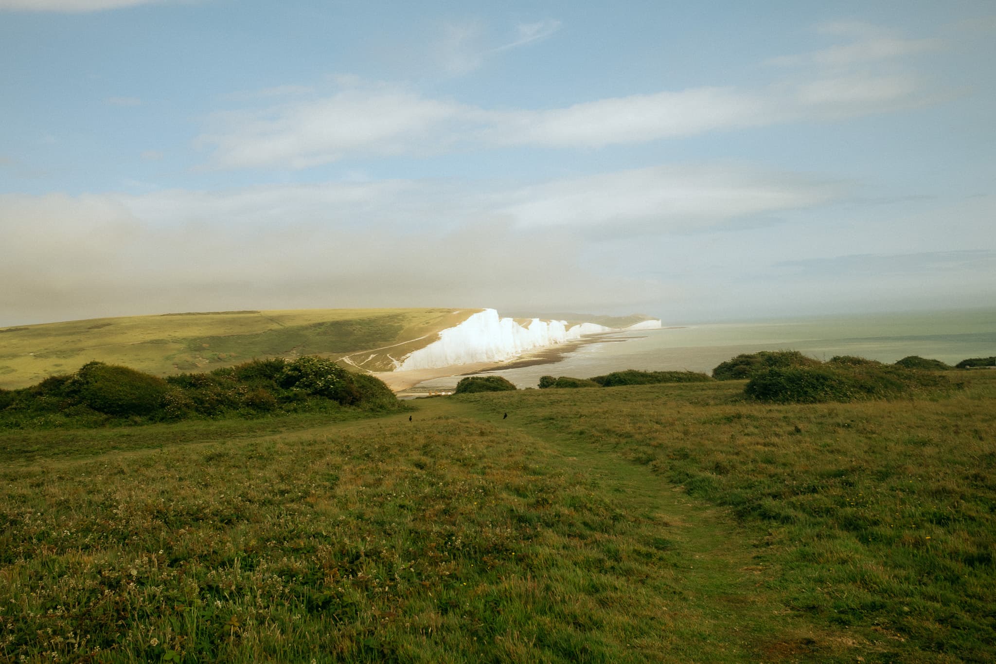 A green field overlooking white cliffs and the sea
